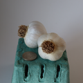 Music Culinary Garlic
